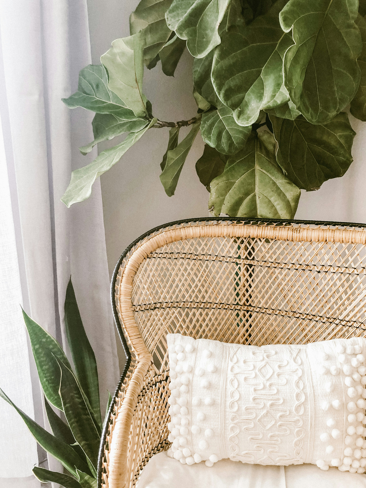 Neutral Tones: Creating Warmth and Sophistication